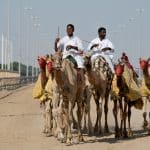 Silk Road Revival: Retracing Ancient Routes via Electric Camel Caravans