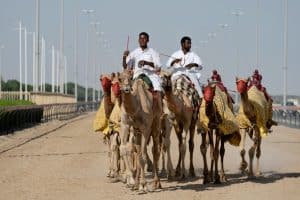 Silk Road Revival: Retracing Ancient Routes via Electric Camel Caravans
