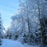 China’s EV Dominance: Outselling ICE Vehicles for the First Time