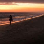 Petrichor Tourism: Chasing Rain-Scented Air in Drought-Stricken Regions