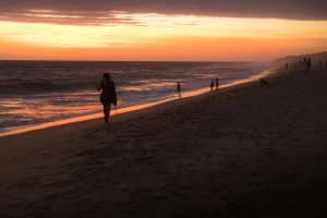 Petrichor Tourism: Chasing Rain-Scented Air in Drought-Stricken Regions