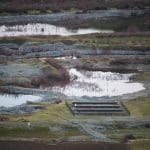 Biofuel Innovations: Sustainable Alternatives for Rural Areas