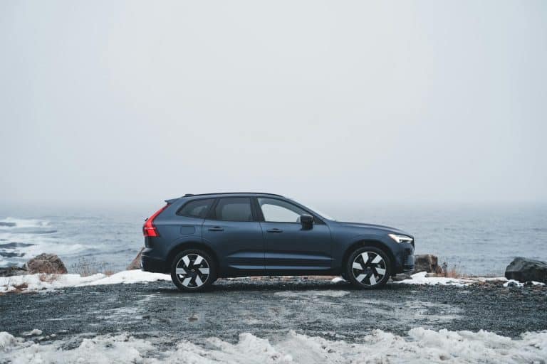 Amphibious Adventures: Cars That Rule Both Road and Water