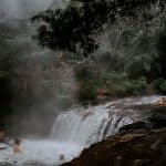 Forest Bathing 2.0: Guided Therapy Walks with Biometric Feedback