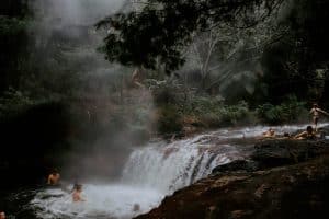 Forest Bathing 2.0: Guided Therapy Walks with Biometric Feedback
