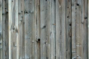Eco-Friendly Design: How Nature-Inspired Architecture Reduces Carbon Footprints
