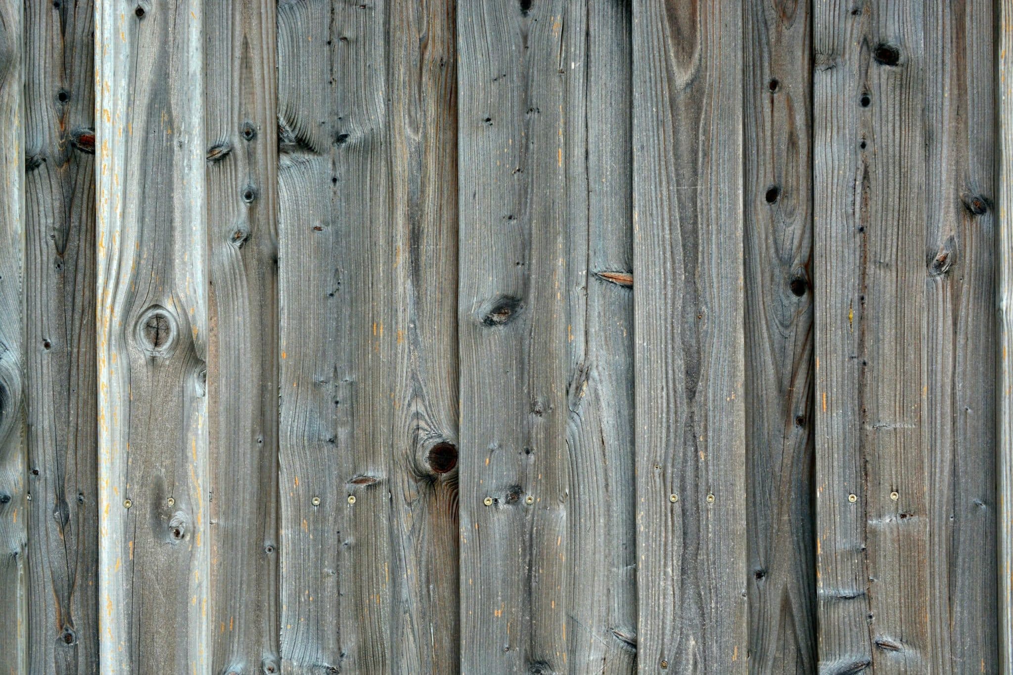 Eco-Friendly Design: How Nature-Inspired Architecture Reduces Carbon Footprints