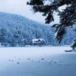 Rewilding Retreats: Vacations That Rebuild Coral Reefs and Forests