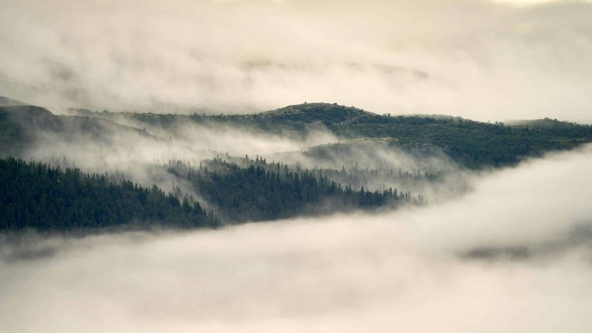 Calmcations: Slow Travel for Burnout Recovery in Remote Villas