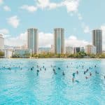 Post-Plastic Beaches: Shorelines Restored via 3D-Printed Coral Hotels