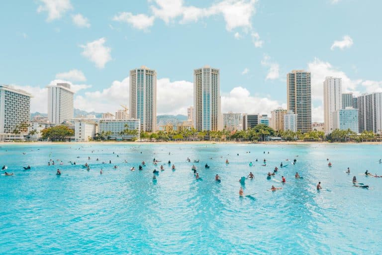 Post-Plastic Beaches: Shorelines Restored via 3D-Printed Coral Hotels