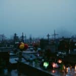 Cemetery Cotton: Fibers Grown in Urban Graveyard Microclimates