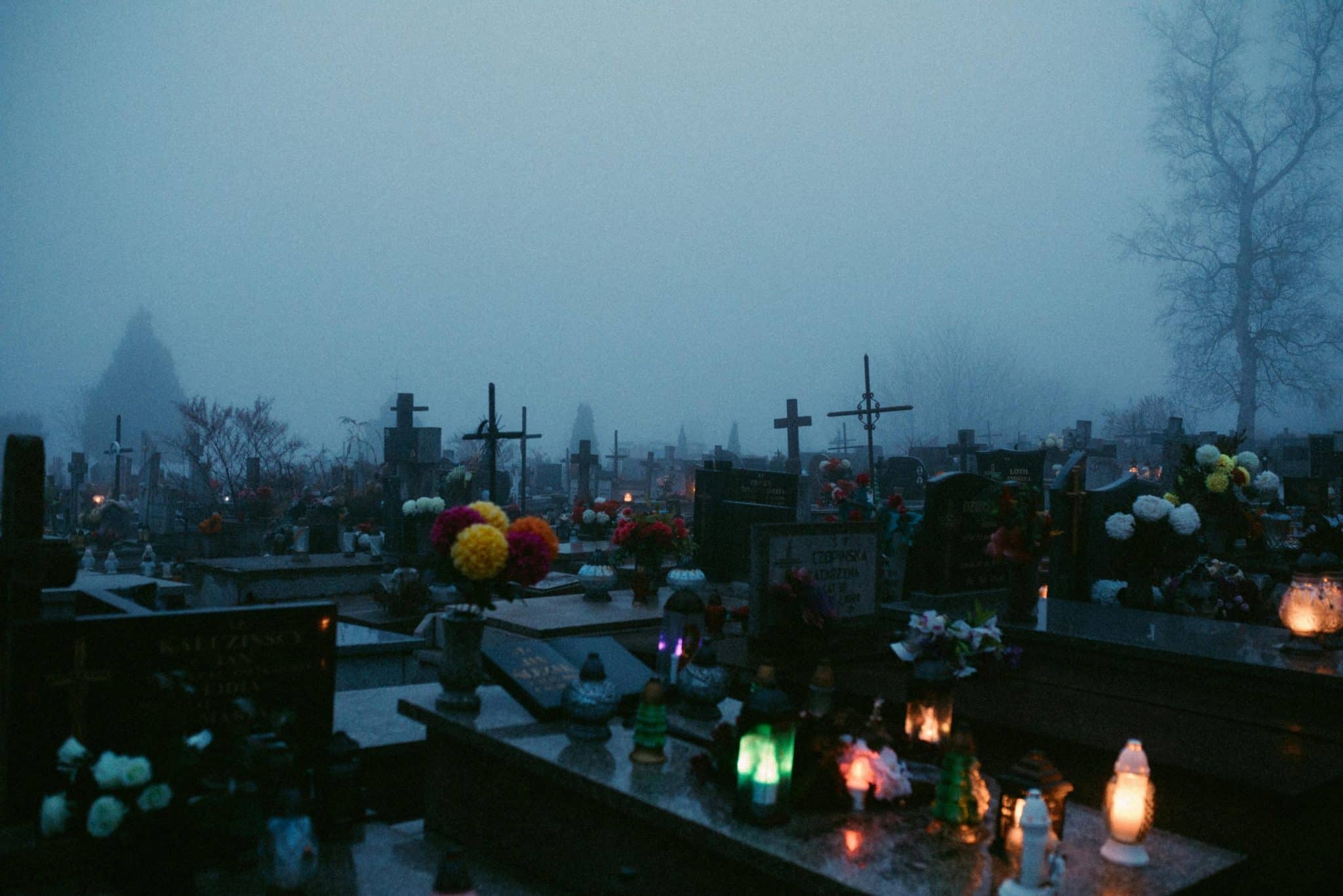 Cemetery Cotton: Fibers Grown in Urban Graveyard Microclimates