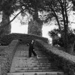 Farm-to-Table Lodging: Menus Sourced from Onsite Vertical Gardens