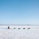 Arctic Nomadwear: Inuit-Inspired Parkas with Whalebone Structuring