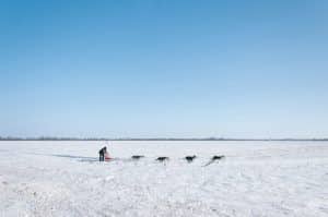 Arctic Nomadwear: Inuit-Inspired Parkas with Whalebone Structuring