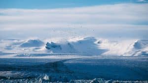Cryo-Spas: Anti-Aging Retreats in Arctic Seed Vault Facilities