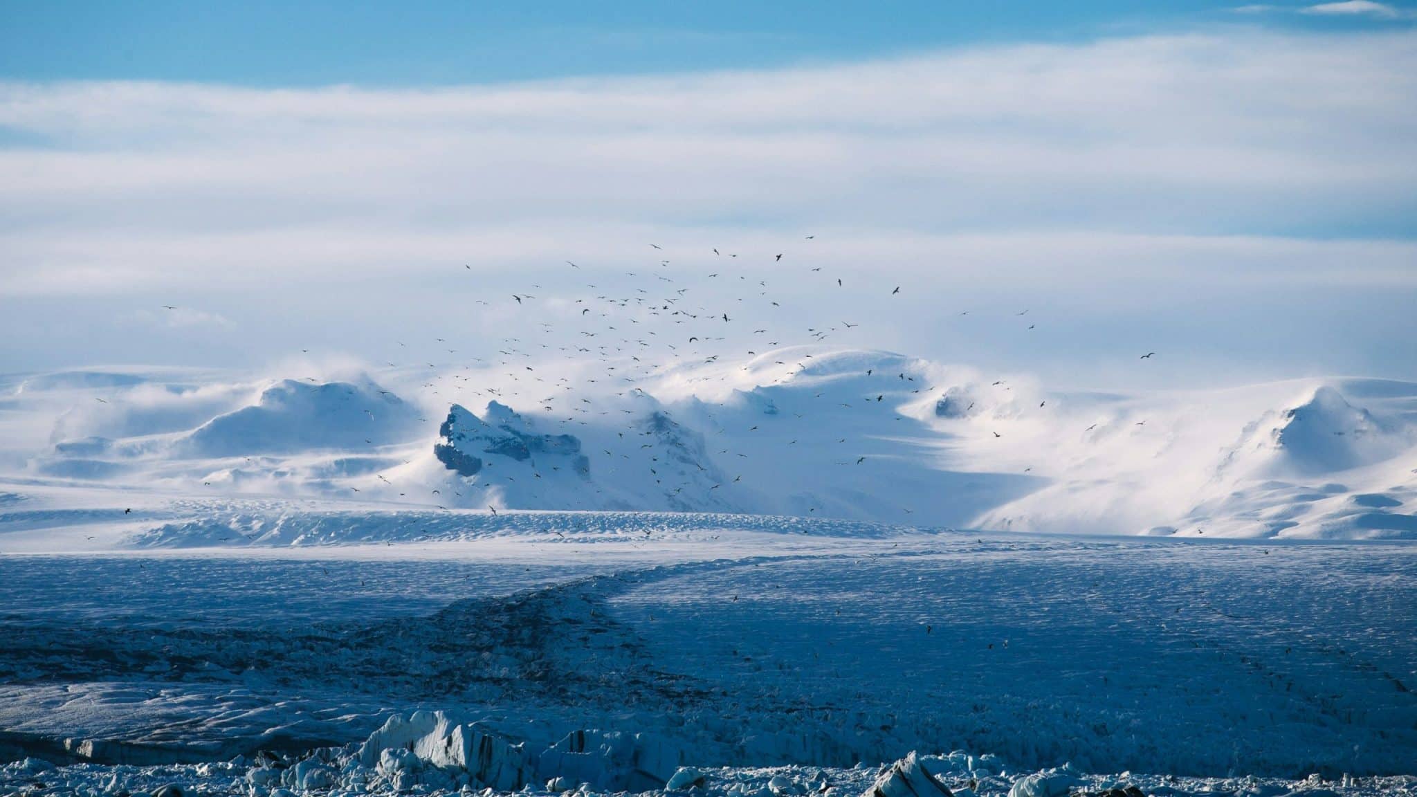 Cryo-Spas: Anti-Aging Retreats in Arctic Seed Vault Facilities