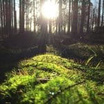 Arctic Noir Tourism: Midnight Sun Detective Trails in Nordic Towns