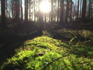 Arctic Noir Tourism: Midnight Sun Detective Trails in Nordic Towns
