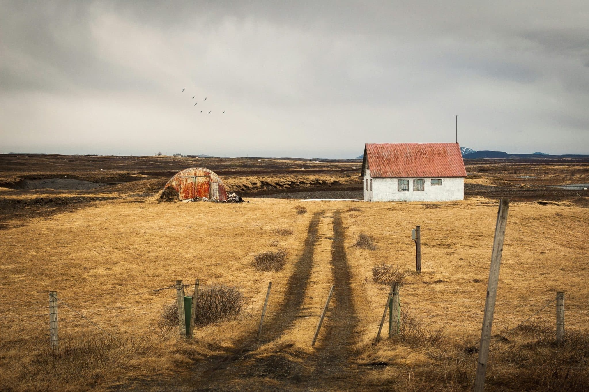 Volcanic Ash Dyeing: Iceland’s Carbon-Neutral Color Technique