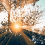 Living Dresses: Garments That Grow Algae Patterns in Sunlight