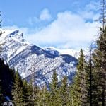 Neuroplasticity Hikes: Trails Designed to Rewire Stress Responses