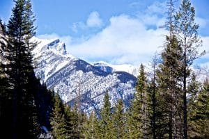 Neuroplasticity Hikes: Trails Designed to Rewire Stress Responses