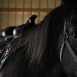 From Horse Carriages to Hypercars: 200 Years of Transportation