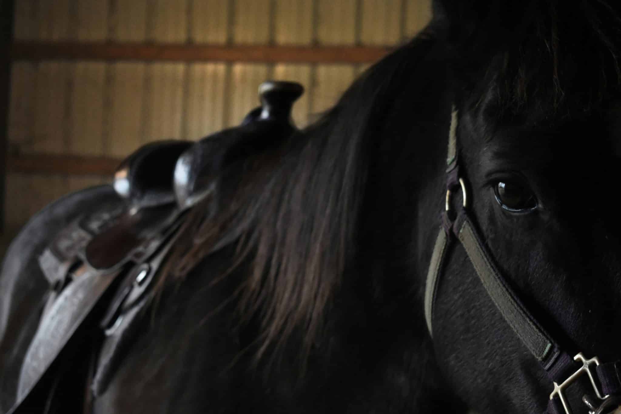 From Horse Carriages to Hypercars: 200 Years of Transportation