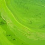 Green Campus Initiatives: Carbon-Neutral Universities by 2030