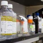 Self-Repairing Silk: Spider DNA Engineered Into Luxury Fibers