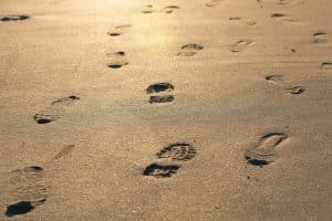 Eco-Labels 2.0: Carbon Footprint Scores on Product Packaging
