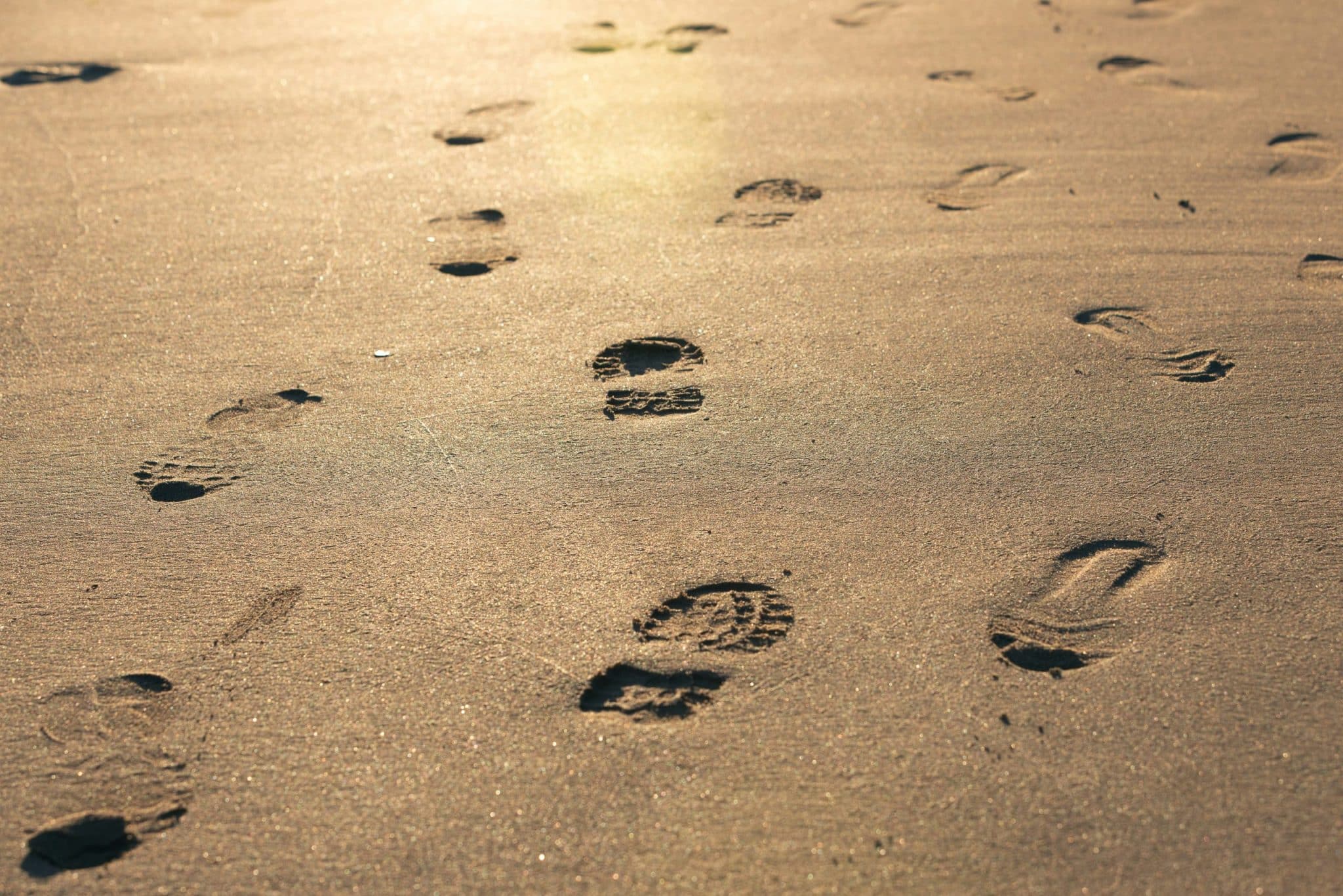 Eco-Labels 2.0: Carbon Footprint Scores on Product Packaging