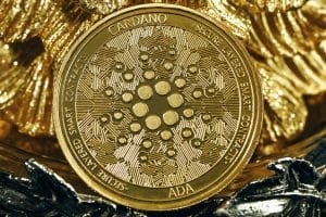 NFT Runways: How Blockchain Authenticates Digital-Only Collections