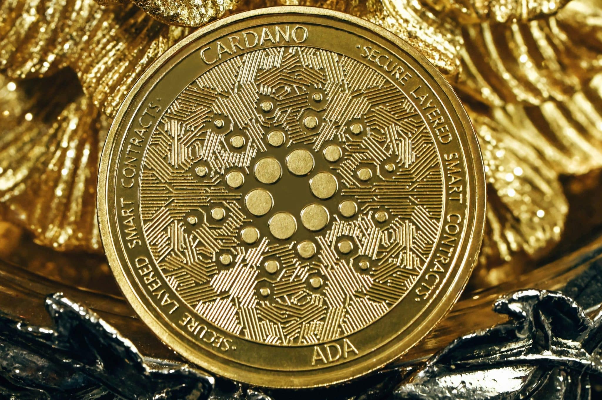 NFT Runways: How Blockchain Authenticates Digital-Only Collections