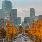 Circular Construction: Buildings Designed for Future Disassembly