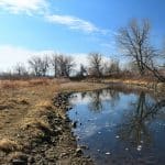 Homeschool Co-Op Hubs: Shared Campus Spaces for Remote Learners