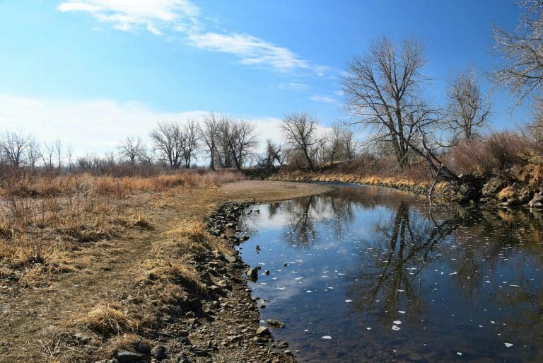 Homeschool Co-Op Hubs: Shared Campus Spaces for Remote Learners