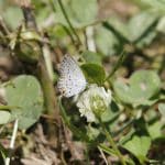 Volumetric Dressing: AR Mirrors That Simulate Weightless Gowns