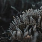 Empathy Analytics: Quantifying Emotional Growth Through AI