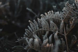 Empathy Analytics: Quantifying Emotional Growth Through AI
